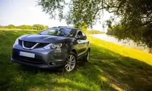 SUV na łące
