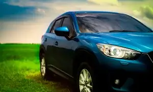 niebieskie auto na łące
